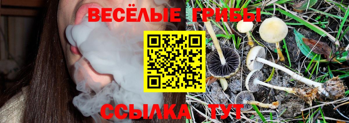 Усолье-Сибирское  Псилоцибиновые грибы прущие грибы  Вход с VPN 
